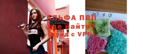 индика Дмитров