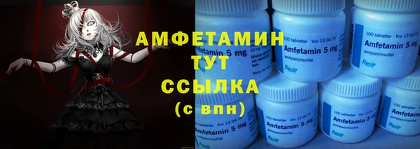индика Дмитров