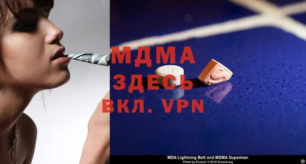индика Дмитров