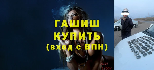 индика Дмитров