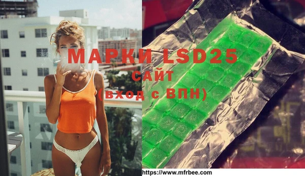 индика Дмитров
