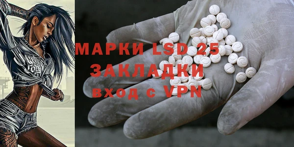 индика Дмитров