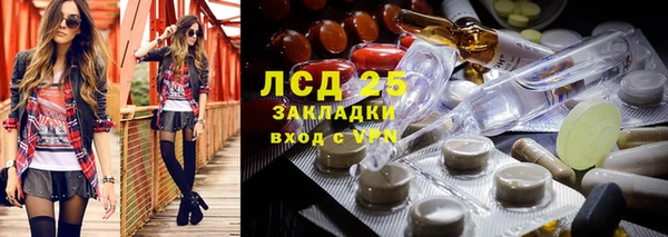 индика Дмитров