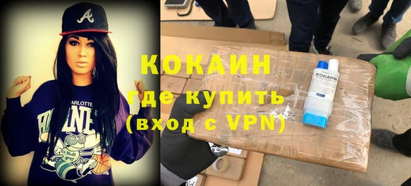сатива Заводоуковск