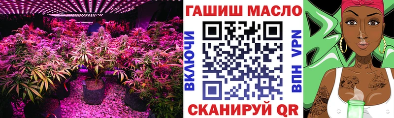 Купить где  Терек  Дистиллят ТГК THC oil 