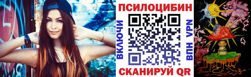 Купить  Терек  Псилоцибиновые грибы мицелий 
